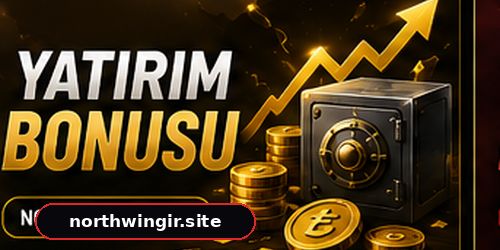 northwin güncel giriş